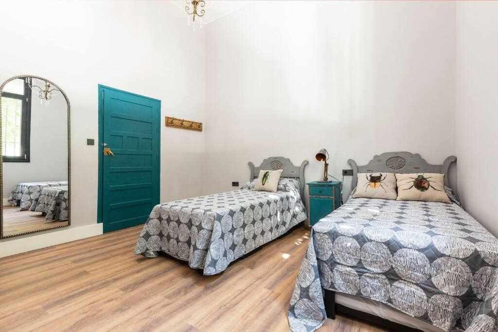 Monkeys Apartments Betis Chill Out إشبيلية المظهر الخارجي الصورة